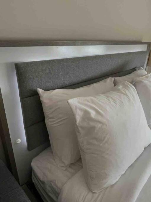 Chic Ocean Front Studio! Apartment ไมอามีบีช ภายนอก รูปภาพ
